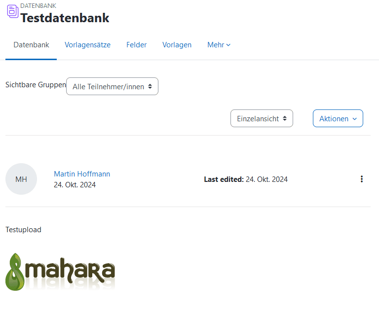 Screenshot einer Datenbankansicht mit einem Eintrag, der ein Bild des Mahara-Logos enthält.