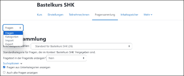 Unter der Registerkarte „Fragensammlung“ Dropdown-Menü mit der Auswahl unter anderem "Import"