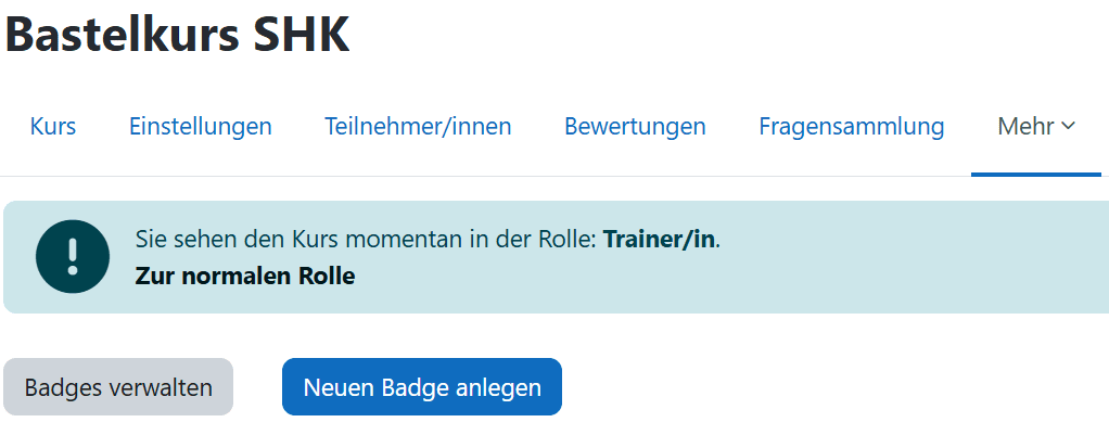 Übersichtsseite der Badges mit Button 'Neuen Badge anlegen'.