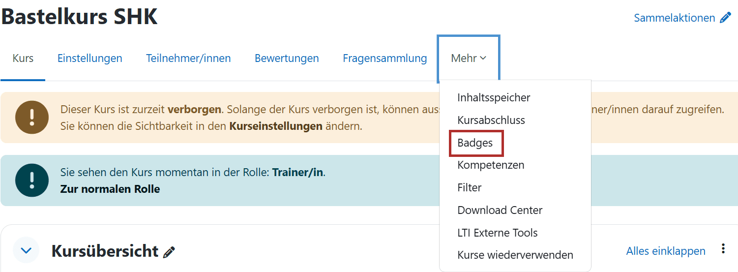 Startseite eines Kurses mit ausgeklapptem Reiter 'Mehr' und roter Umrandung um 'Badges'.