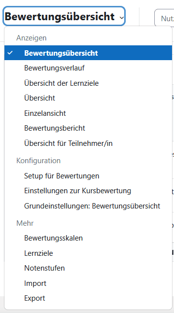 Screenshot des Dropdownmenüs zur Auswahl der Seite im Tab Bewertung.