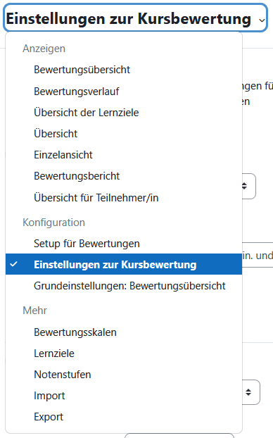 Screenshot des Dropdownmenüs zur Auswahl der Seite im Tab Bewertung.