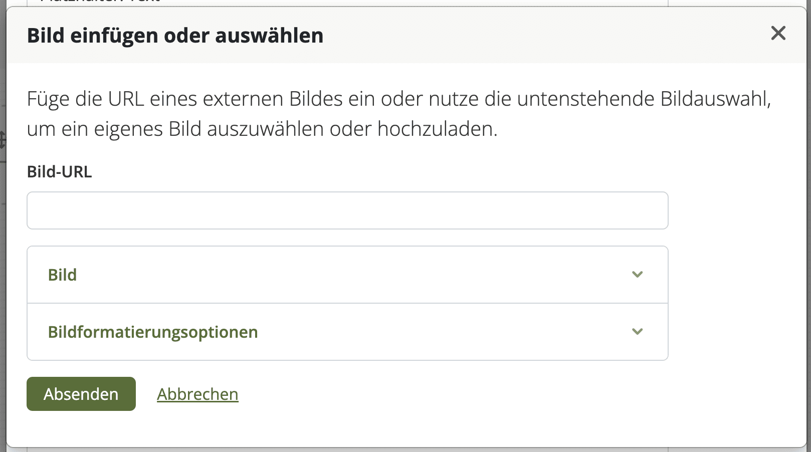 Bildschirmfoto des Bereichs "Bild einfügen", in dem eine URL eingetragen, ein Bild ausgewählt und formatiert werden kann.