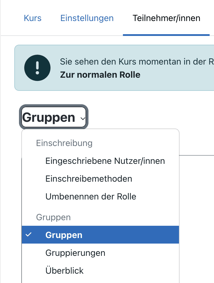 Bildschirmfoto des Dropdown-Menüs, um zwischen Gruppen, Gruppierungen und Überblick zu wählen.